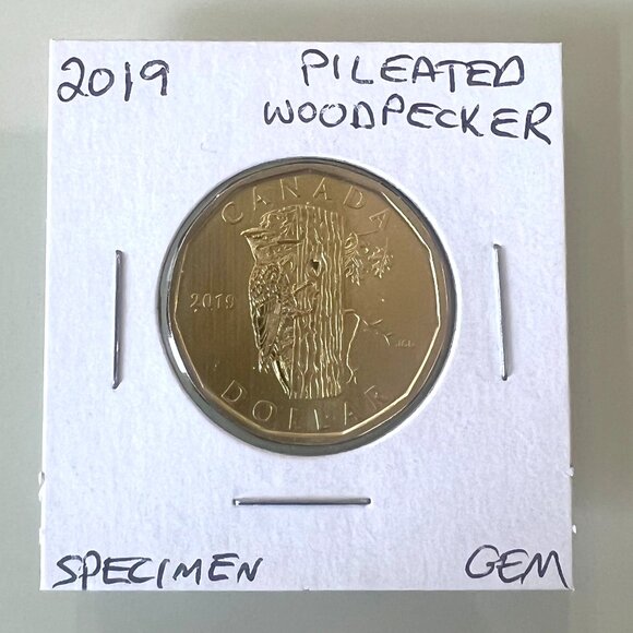 2016, 2017, 2018 and 2019 Canada Special Specimen $1 Loonies! - Picture 9 of 10